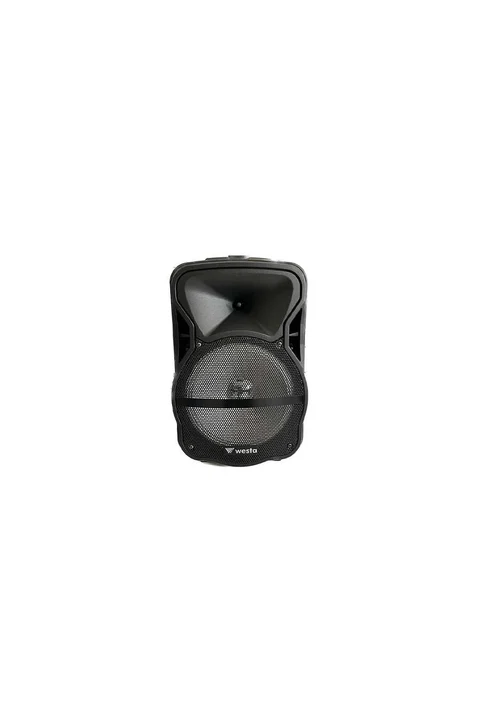 Westa WAP-1053E 10 İnç 2 Yollu Şarjlı 150W Aktif Portatif Ses Sistemi