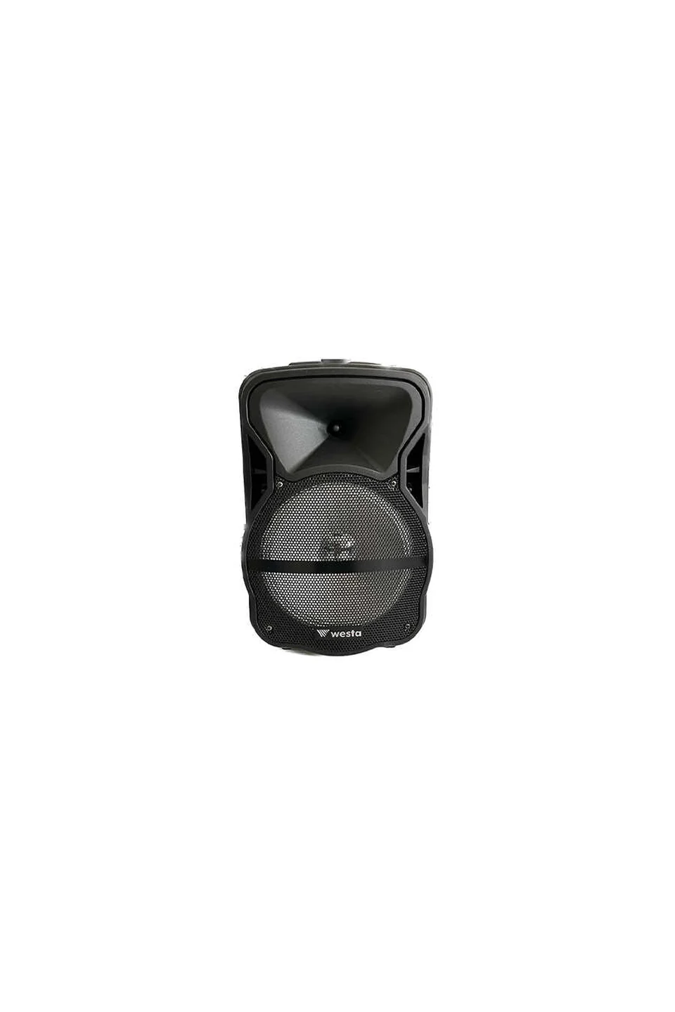 Westa WAP-1053E 10 İnç 2 Yollu Şarjlı 150W Aktif Portatif Ses Sistemi
