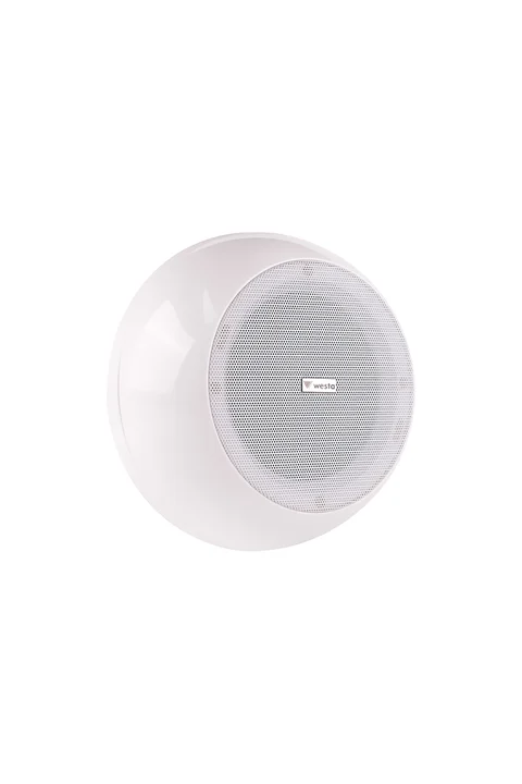 Westa WS-1260T 6,5 inc 16 cm Trafolu Tavan Tipi Hoparlör