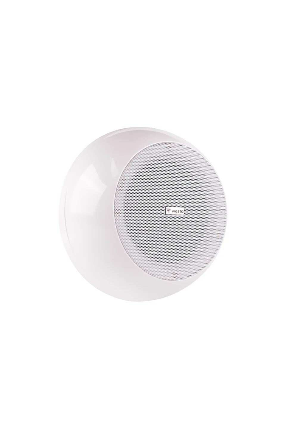 Westa WS-1260T 6,5 inc 16 cm Trafolu Tavan Tipi Hoparlör