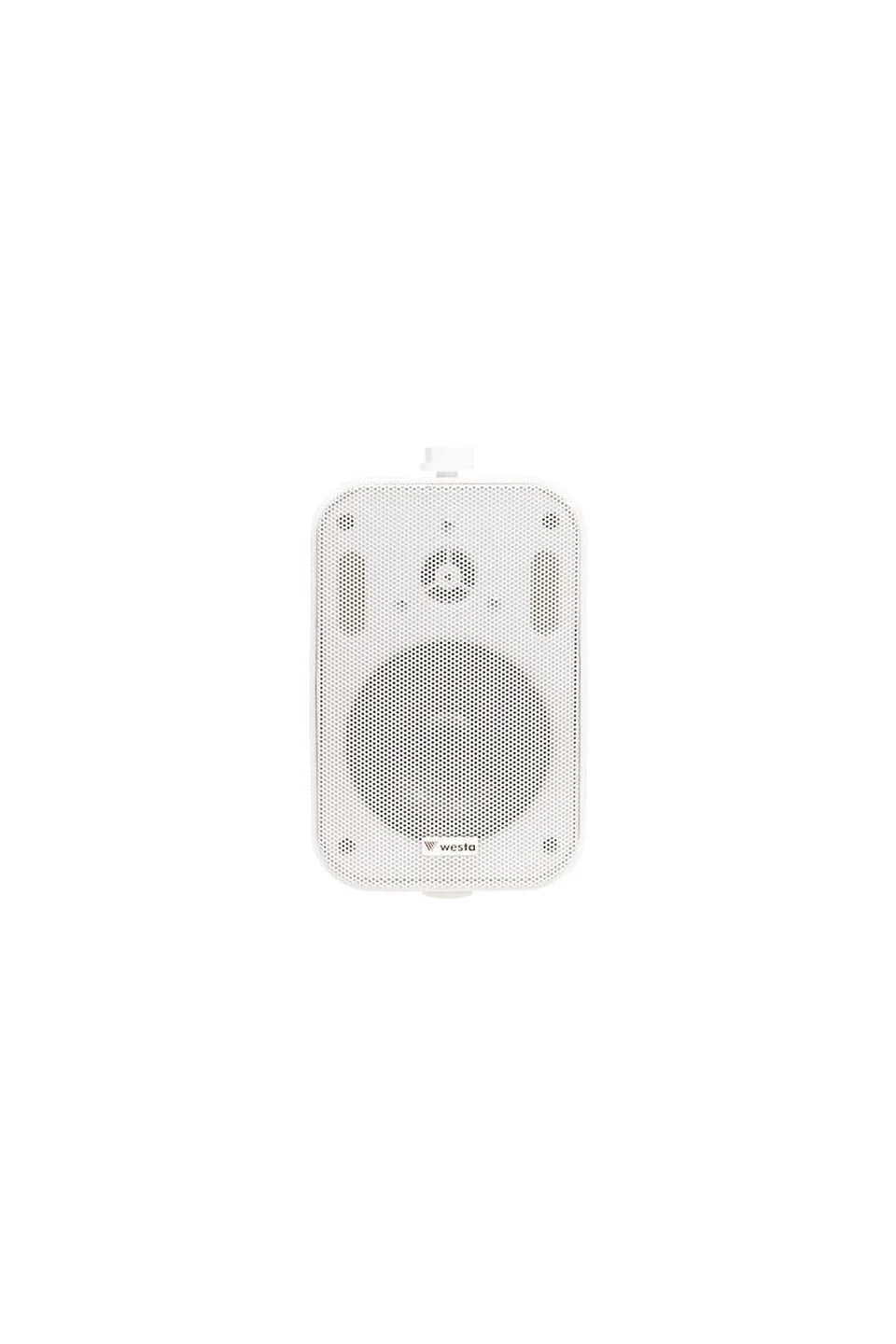 Westa WS-302TW 3 inc 7,5 cm Trafolu Duvar Tipi Hoparlör - ADET