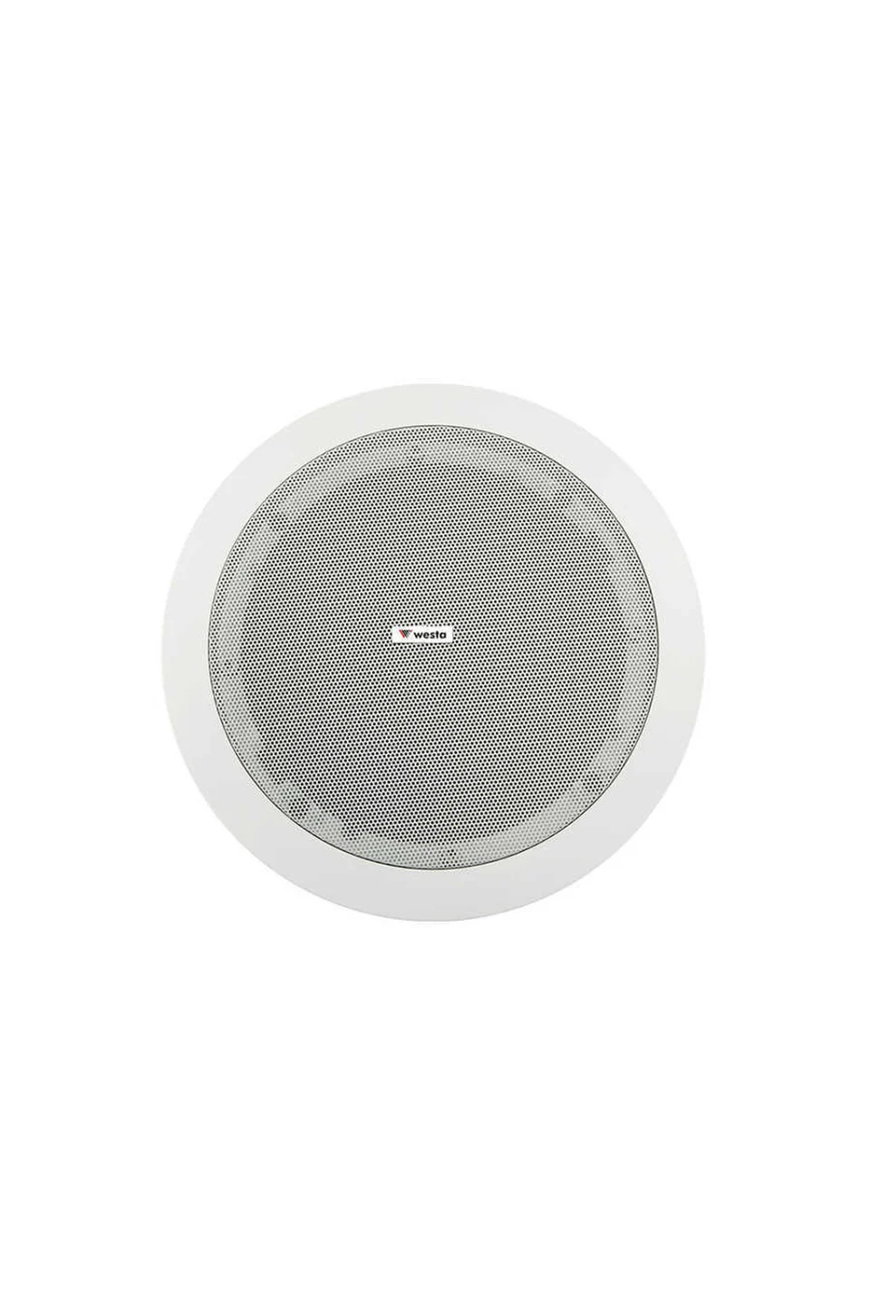 Westa WS-510 20cm 5~10 Watt 2 YOLLU TRAFOLU Asma Tavan Hoparlör