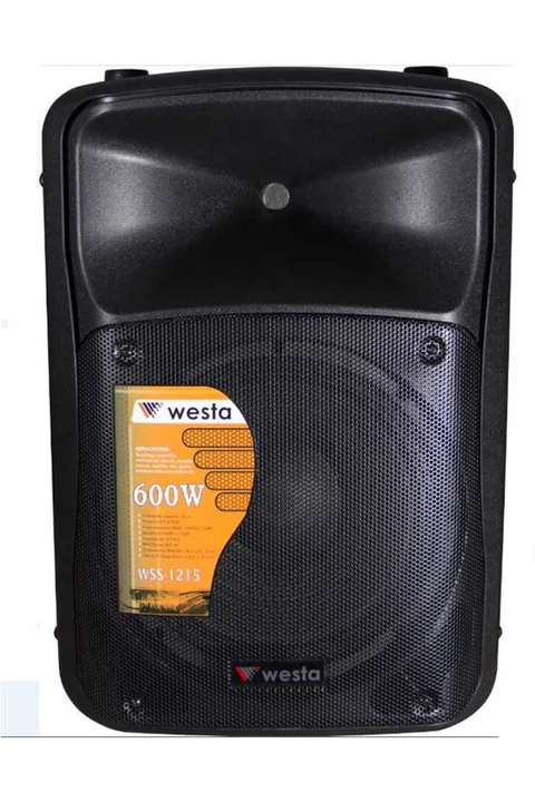 Westa WSS-0800 8 inç 20cm 2 Yollu Max. 350 Watt Pasif Kabin Hoparlör